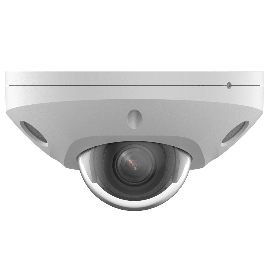 IP camera VIA-IPC-4MDP-LI2M